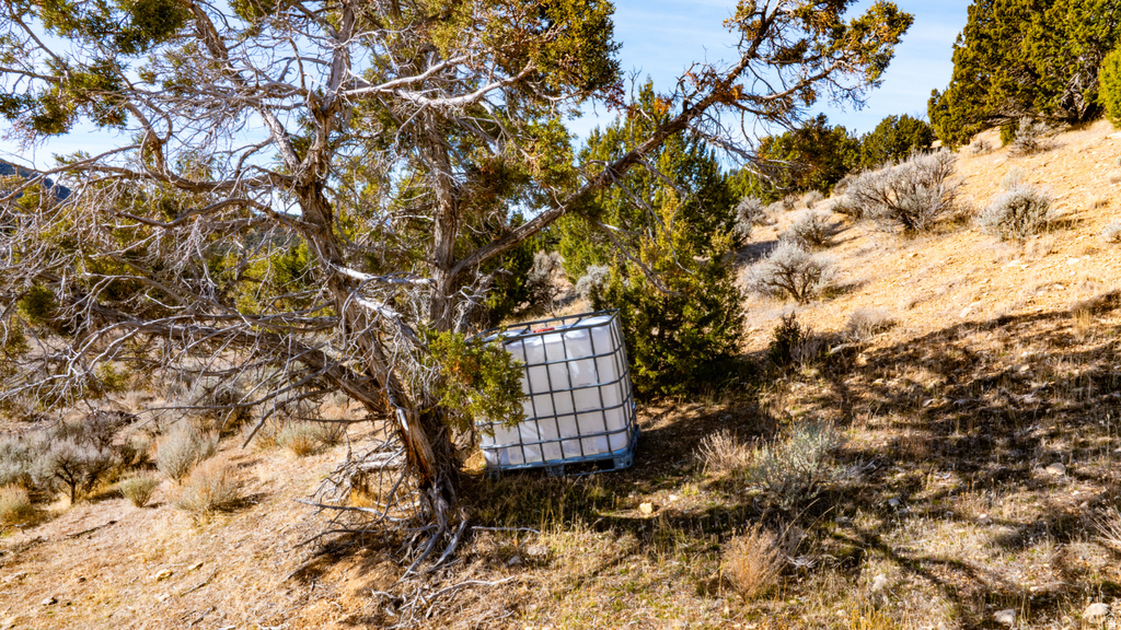 COUNTY ROAD 28 Levan, UT 84639