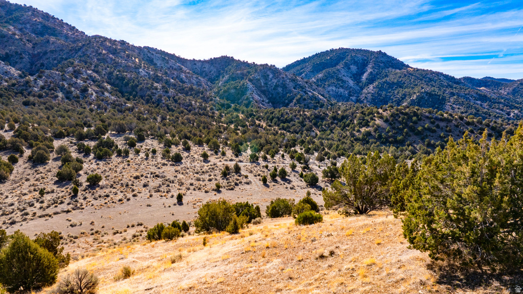 COUNTY ROAD 28 Levan, UT 84639