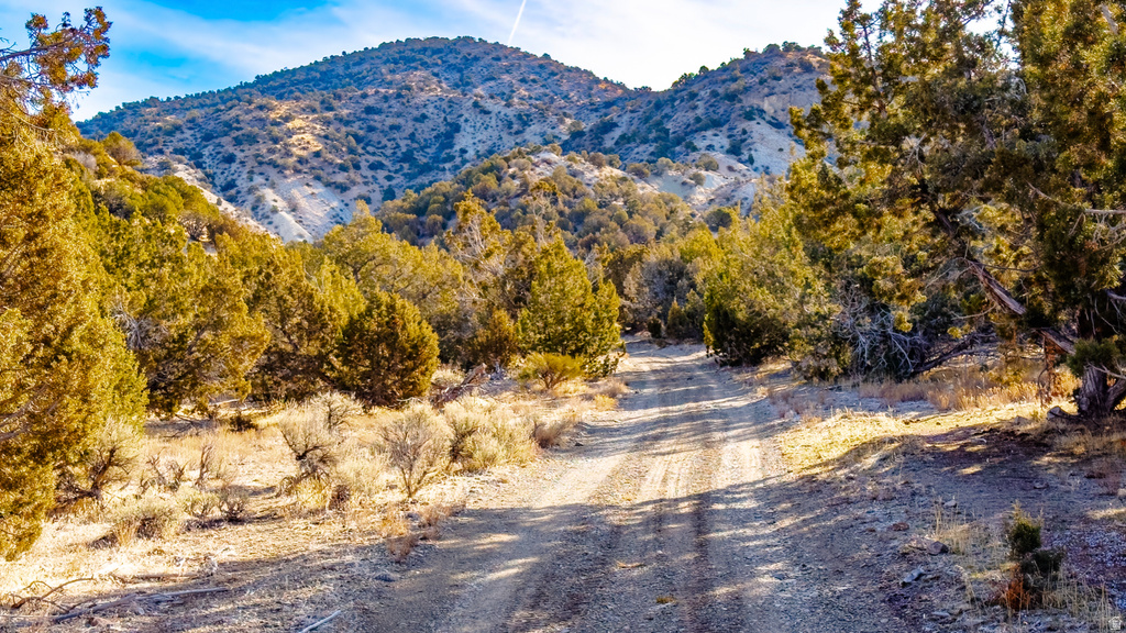 COUNTY ROAD 28 Levan, UT 84639