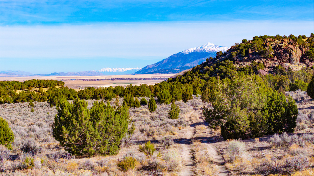 COUNTY ROAD 28 Levan, UT 84639