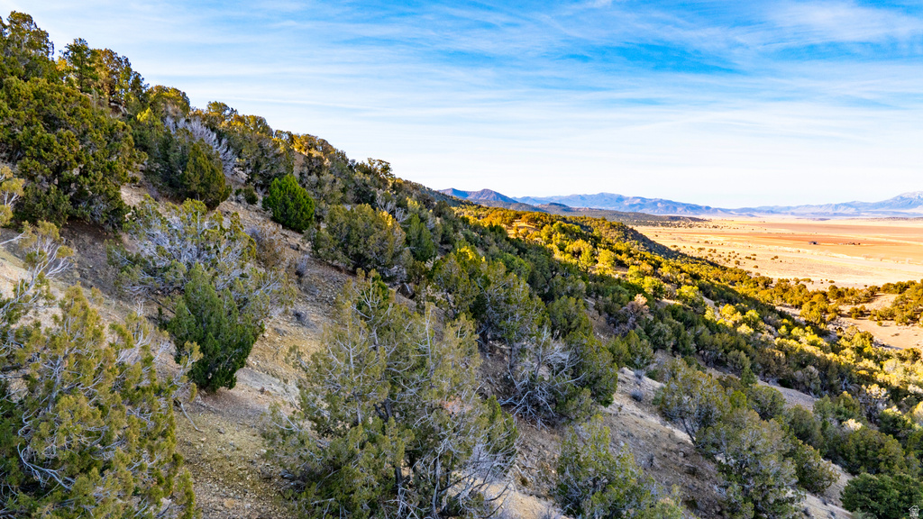 COUNTY ROAD 28 Levan, UT 84639