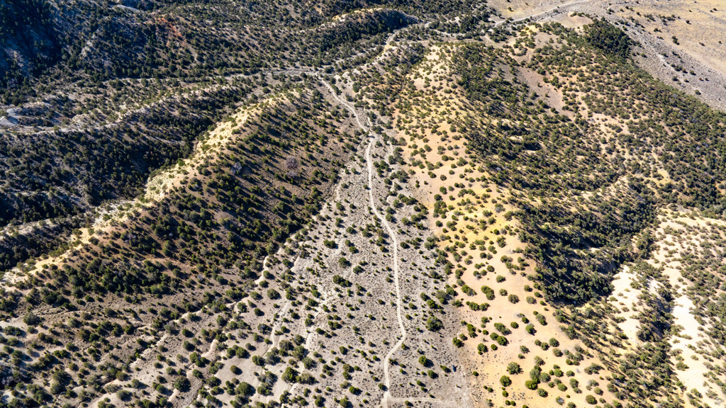 COUNTY ROAD 28 Levan, UT 84639