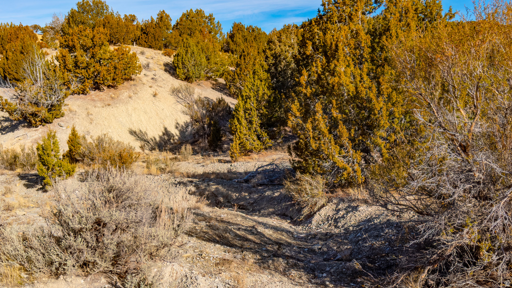 COUNTY ROAD 28 Levan, UT 84639