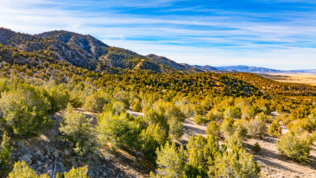 COUNTY ROAD 28 Levan, UT 84639