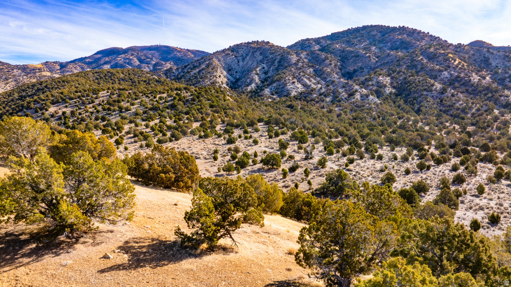 COUNTY ROAD 28 Levan, UT 84639