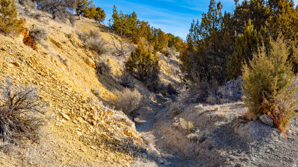 COUNTY ROAD 28 Levan, UT 84639