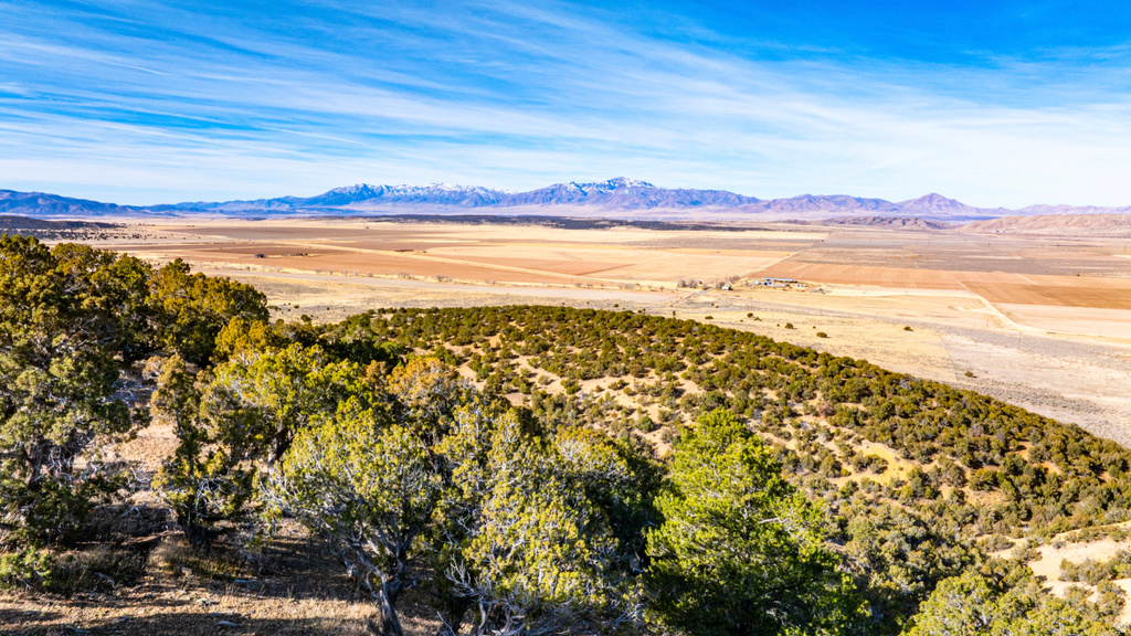 COUNTY ROAD 28 Levan, UT 84639