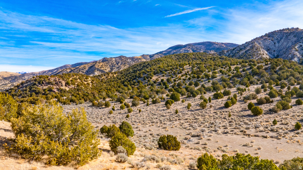 COUNTY ROAD 28 Levan, UT 84639