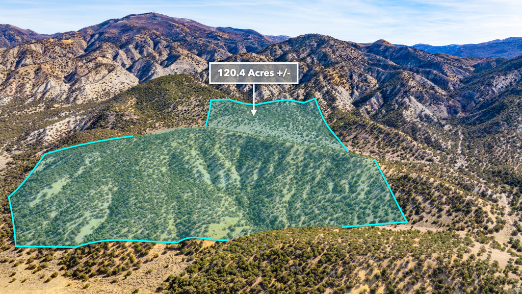 COUNTY ROAD 28 Levan, UT 84639