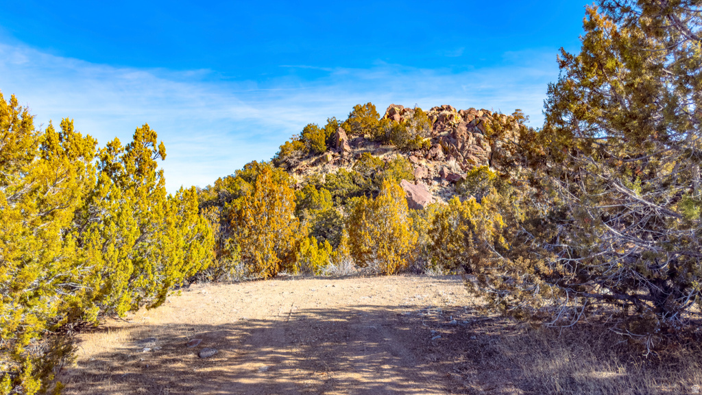 COUNTY ROAD 28 Levan, UT 84639