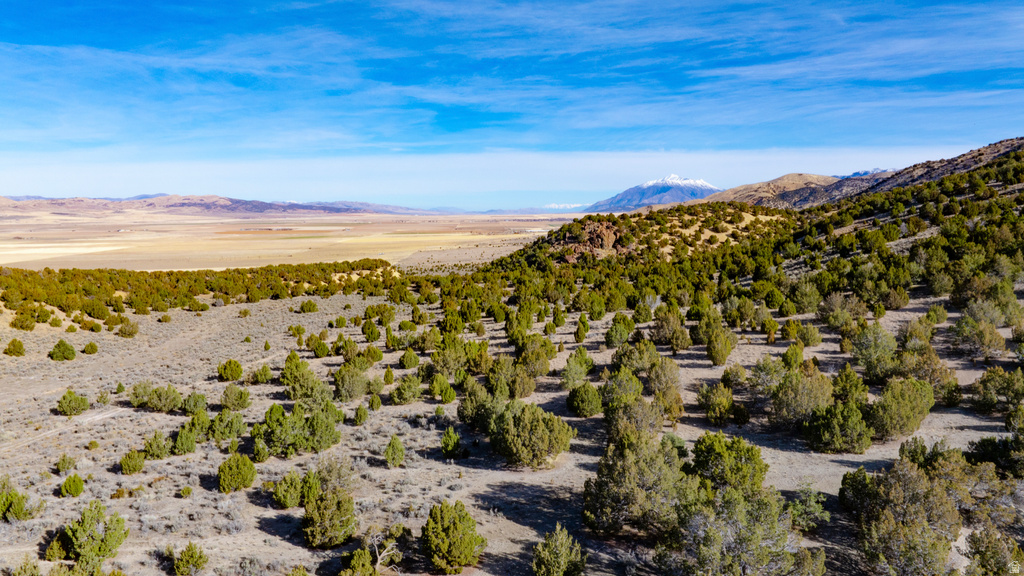 COUNTY ROAD 28 Levan, UT 84639