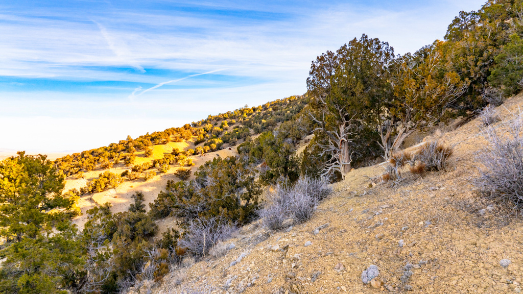 COUNTY ROAD 28 Levan, UT 84639