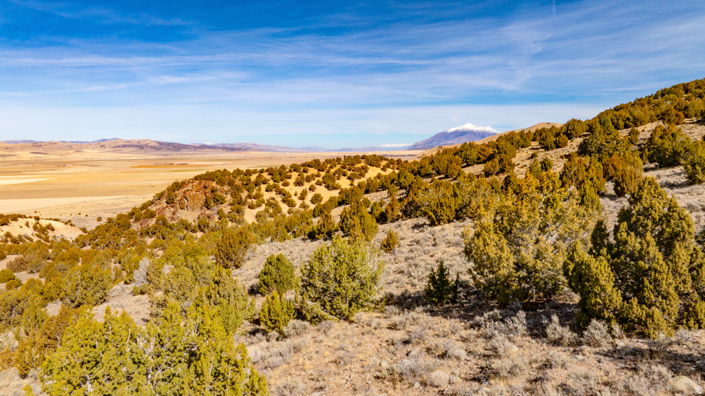 COUNTY ROAD 28 Levan, UT 84639