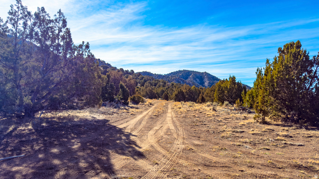 COUNTY ROAD 28 Levan, UT 84639