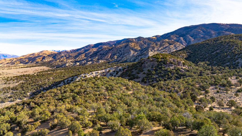 COUNTY ROAD 28 Levan, UT 84639