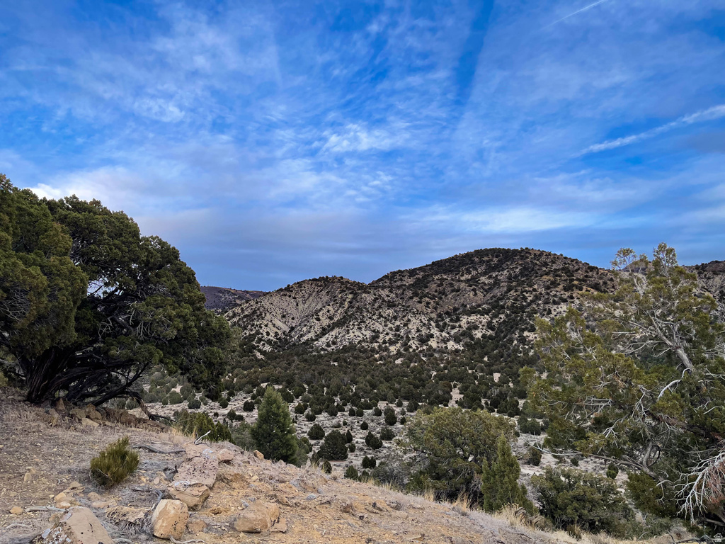 COUNTY ROAD 28 Levan, UT 84639