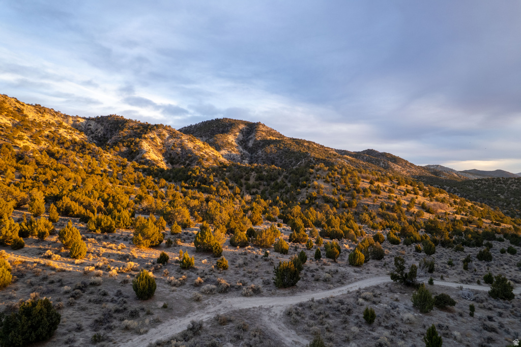 COUNTY ROAD 28 Levan, UT 84639