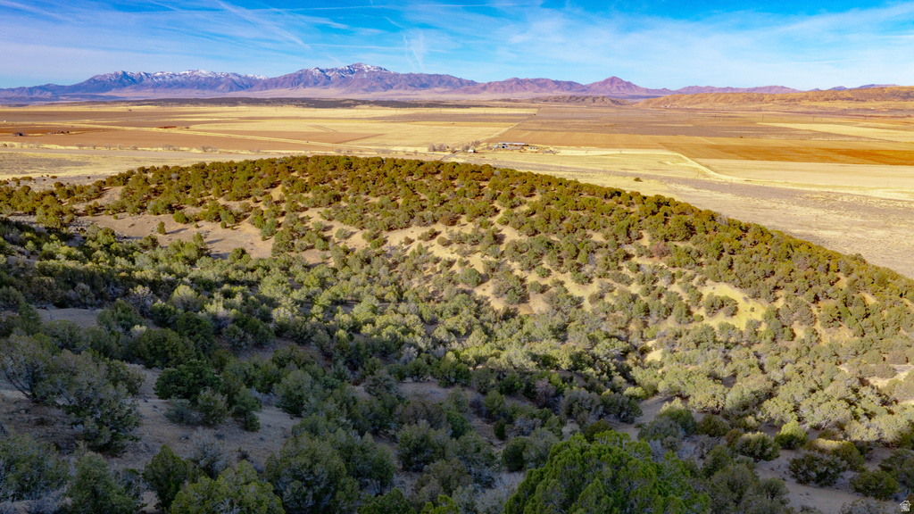 COUNTY ROAD 28 Levan, UT 84639