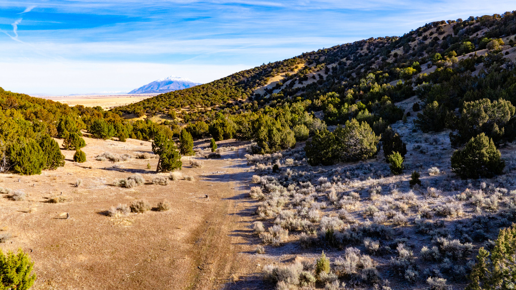 COUNTY ROAD 28 Levan, UT 84639