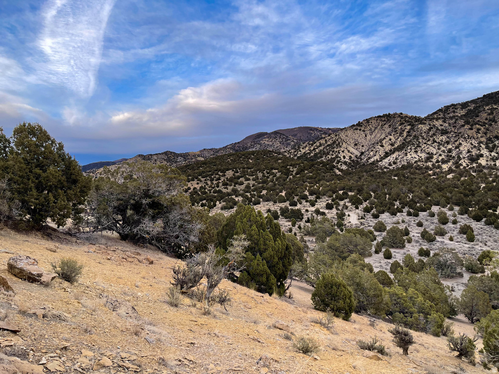 COUNTY ROAD 28 Levan, UT 84639