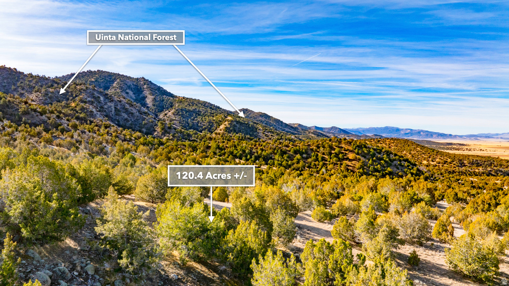 COUNTY ROAD 28 Levan, UT 84639