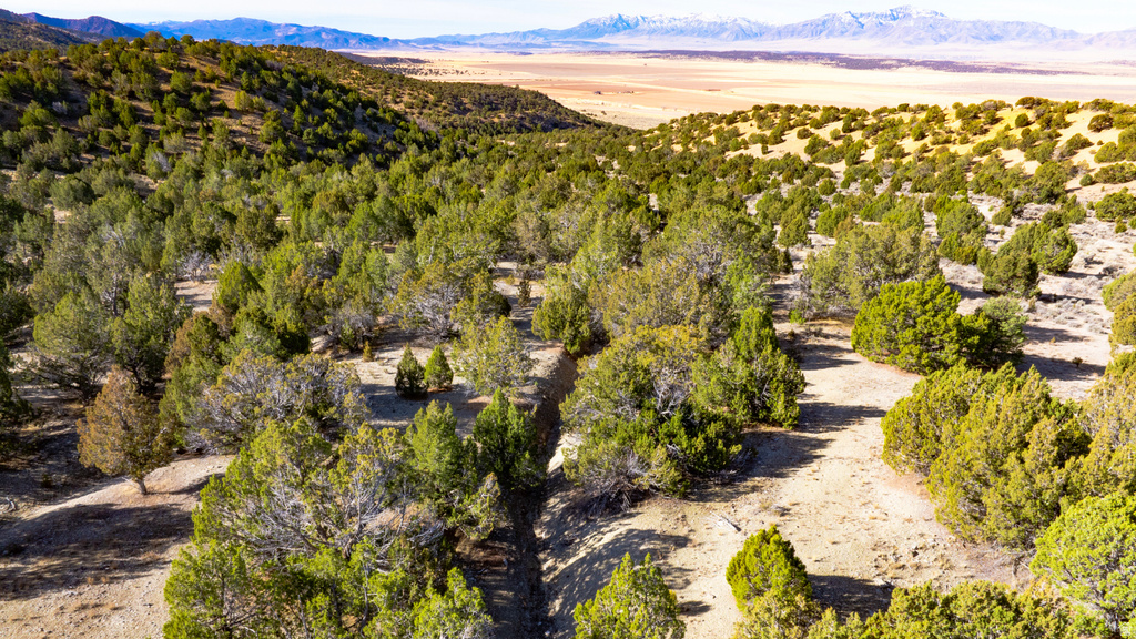 COUNTY ROAD 28 Levan, UT 84639