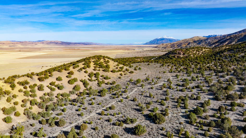 COUNTY ROAD 28 Levan, UT 84639