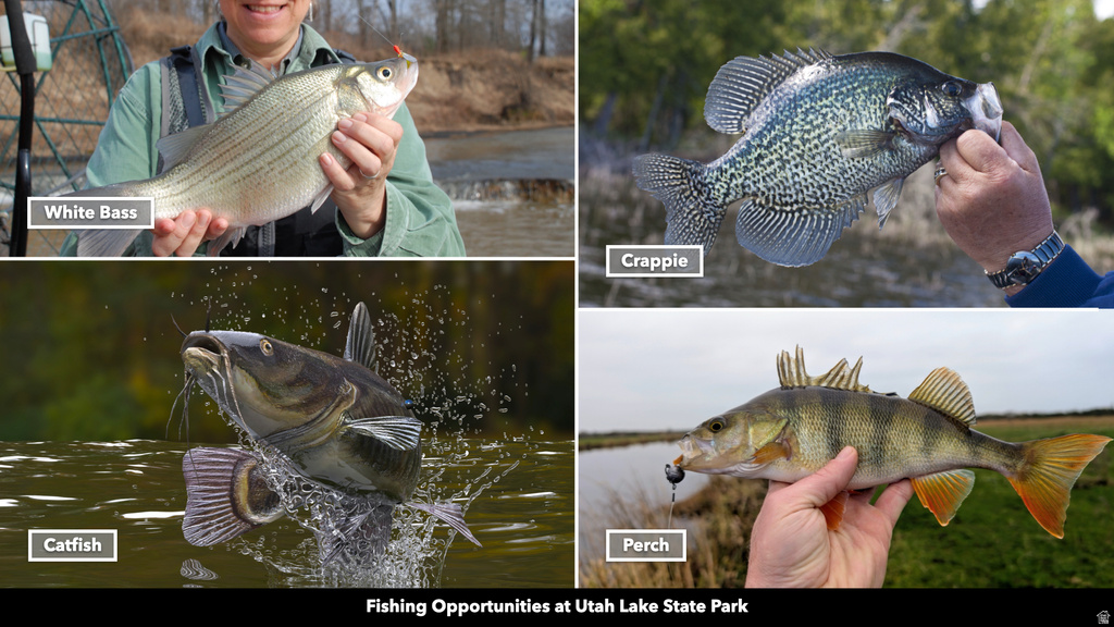 COUNTY ROAD 28 Levan, UT 84639