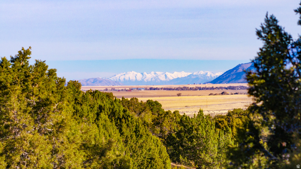 COUNTY ROAD 28 Levan, UT 84639