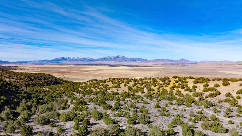 COUNTY ROAD 28 Levan, UT 84639