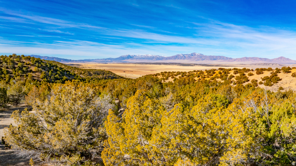 COUNTY ROAD 28 Levan, UT 84639