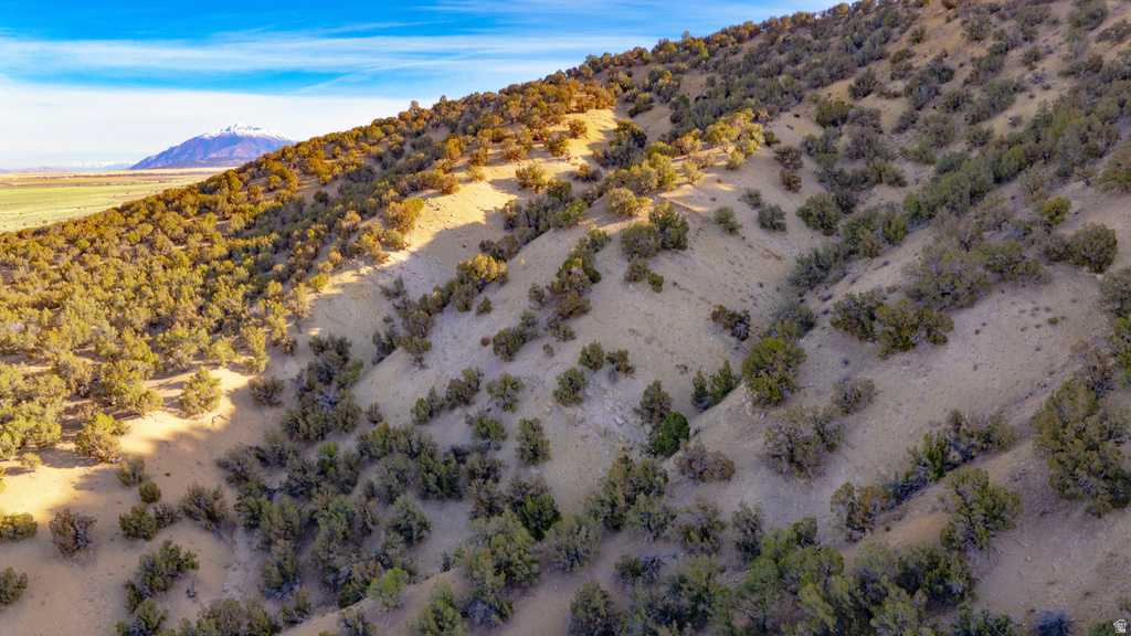 COUNTY ROAD 28 Levan, UT 84639