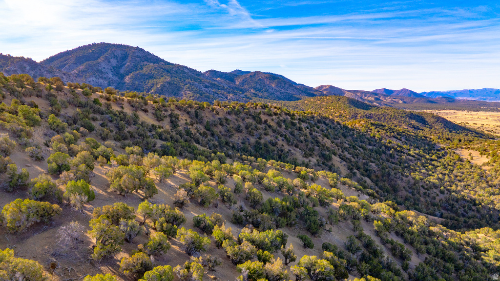 COUNTY ROAD 28 Levan, UT 84639