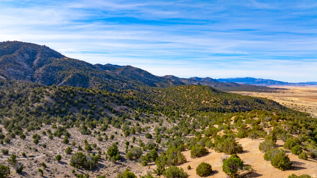 COUNTY ROAD 28 Levan, UT 84639