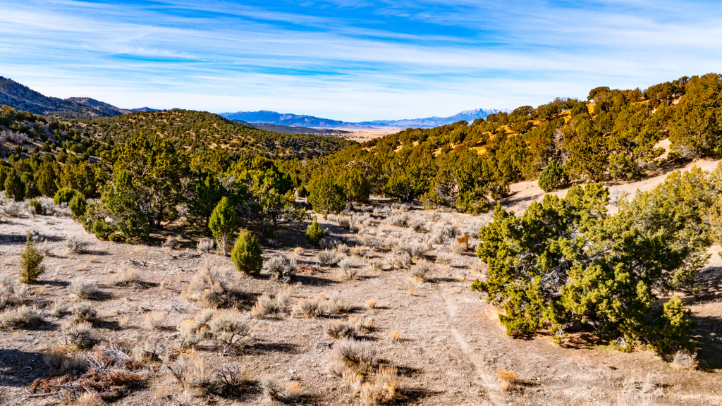 COUNTY ROAD 28 Levan, UT 84639