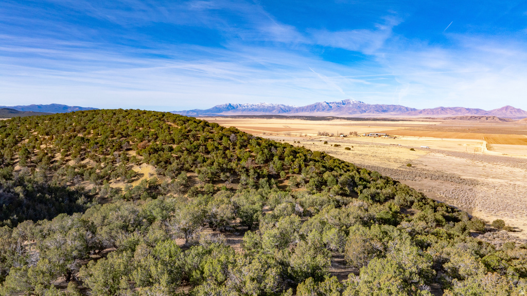 COUNTY ROAD 28 Levan, UT 84639