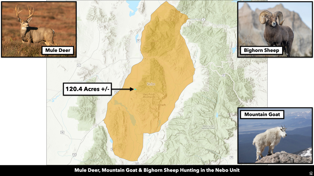 COUNTY ROAD 28 Levan, UT 84639