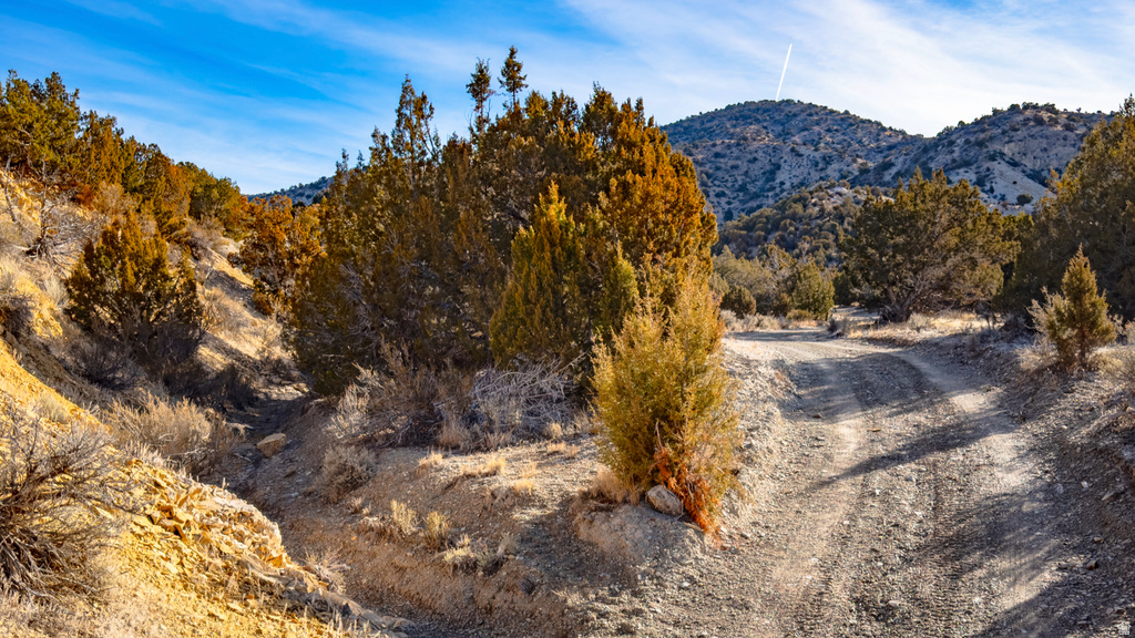 COUNTY ROAD 28 Levan, UT 84639