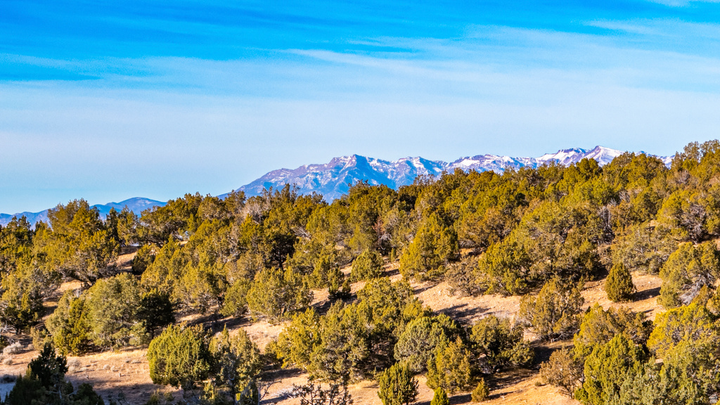 COUNTY ROAD 28 Levan, UT 84639