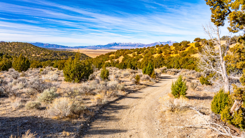 COUNTY ROAD 28 Levan, UT 84639