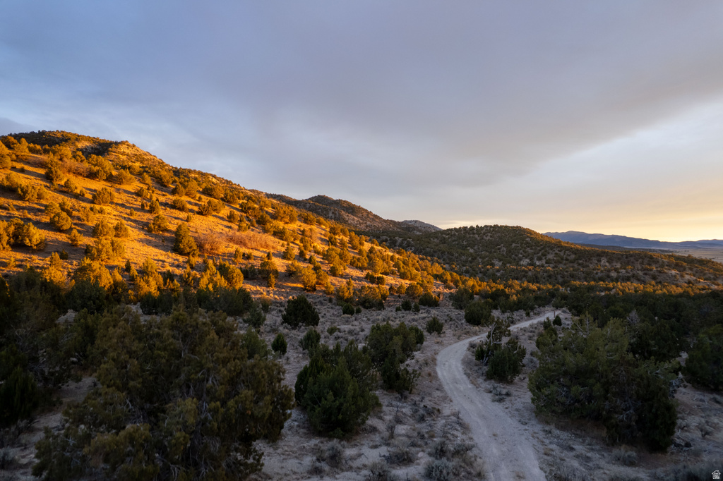 COUNTY ROAD 28 Levan, UT 84639