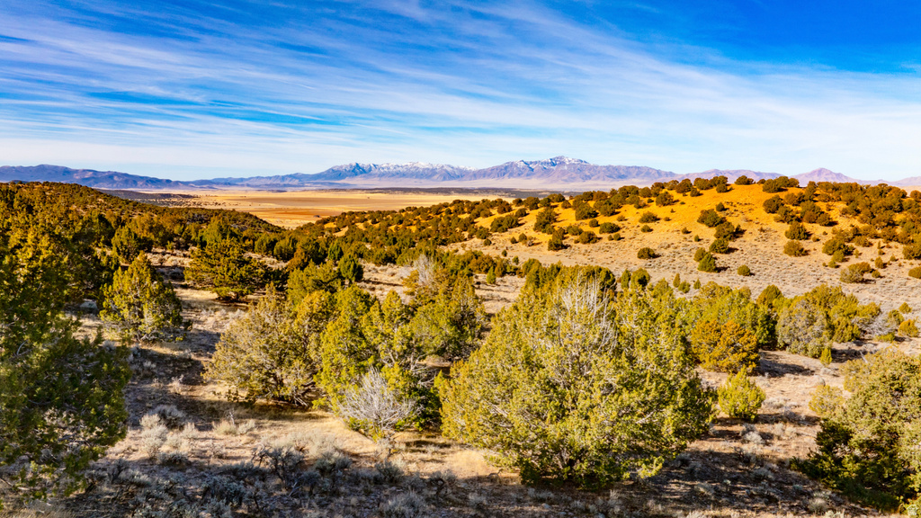 COUNTY ROAD 28 Levan, UT 84639