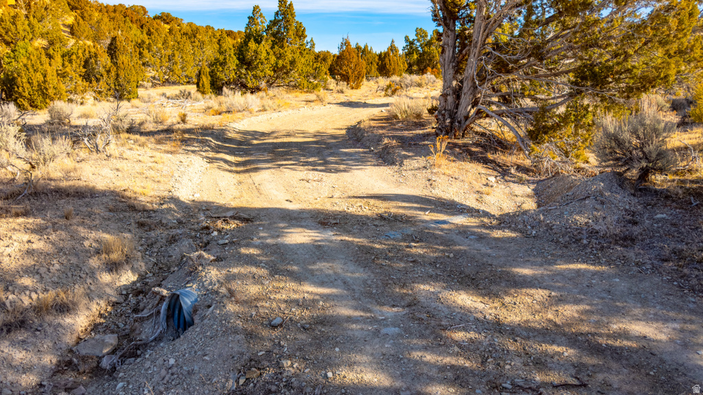 COUNTY ROAD 28 Levan, UT 84639