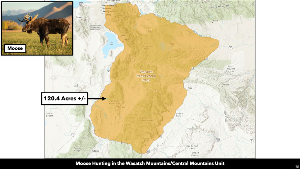 COUNTY ROAD 28 Levan, UT 84639