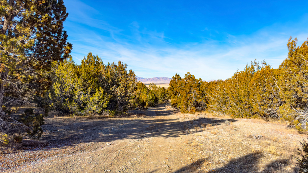 COUNTY ROAD 28 Levan, UT 84639