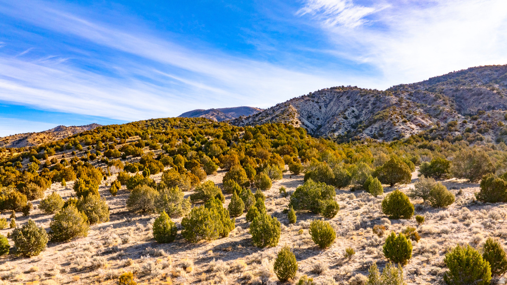 COUNTY ROAD 28 Levan, UT 84639