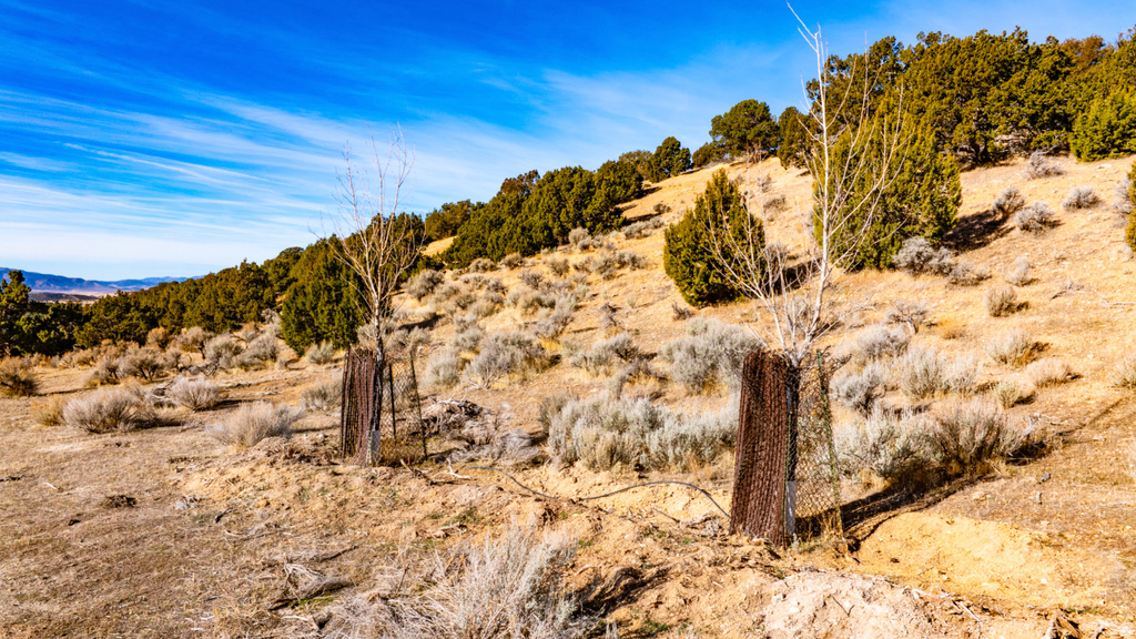 COUNTY ROAD 28 Levan, UT 84639