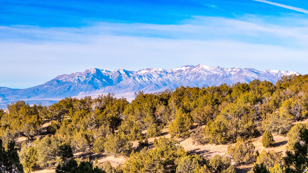 COUNTY ROAD 28 Levan, UT 84639