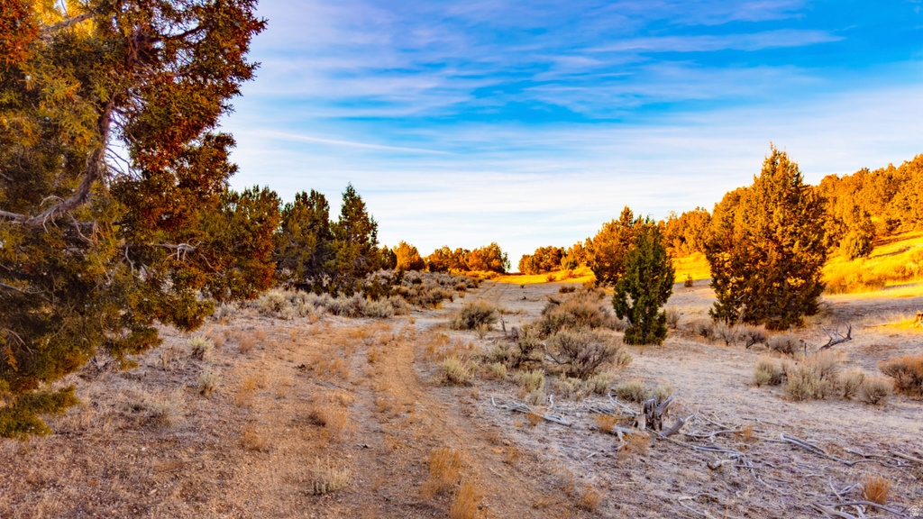 COUNTY ROAD 28 Levan, UT 84639