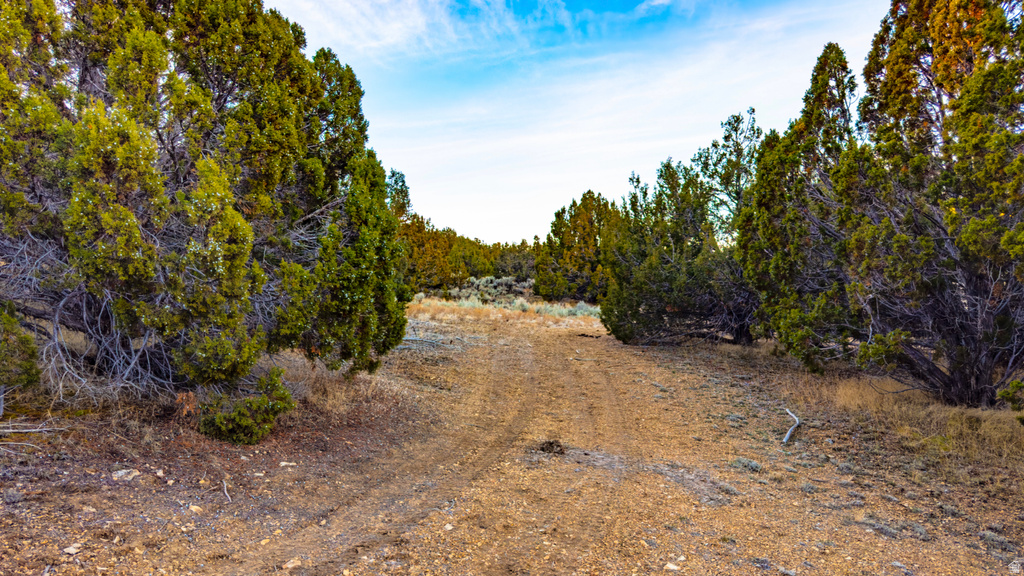 COUNTY ROAD 28 Levan, UT 84639